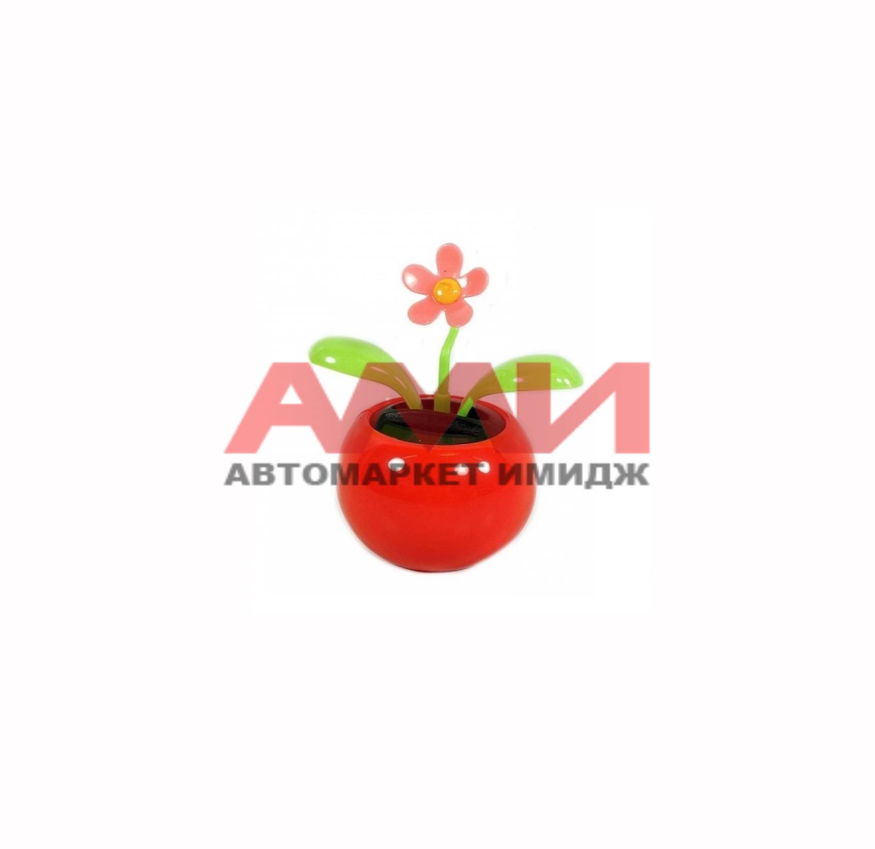featured-product-img